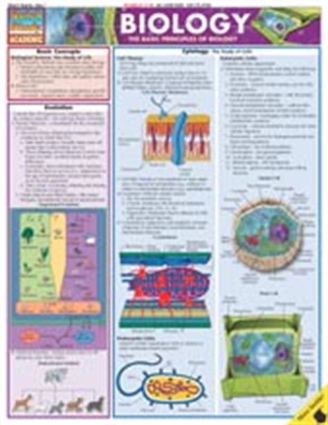 8108-3 Biology Chart Illustrated