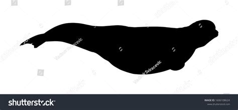 Beluga Whale Vector Silhouette Illustration Isolated Stock Vector ...