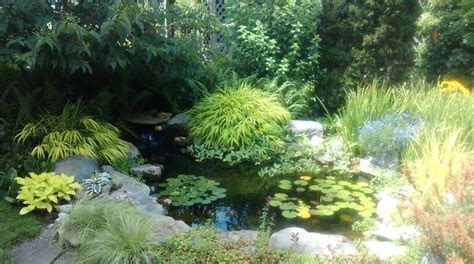 Pin by Gemma Smith on Pond | Shade garden, Pond, Garden