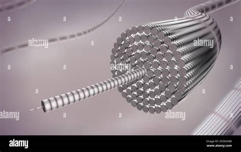 Collagen fibrils structure 3D rendered illustrations Stock Photo - Alamy