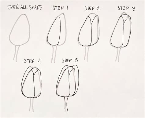 How To Draw A Step By Step Flower Easy