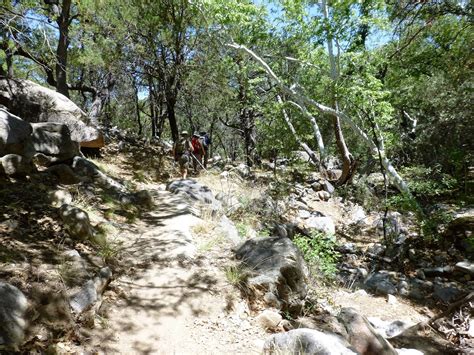 Hundewanderer.com: Hiking: Madera Canyon, Nature Trail