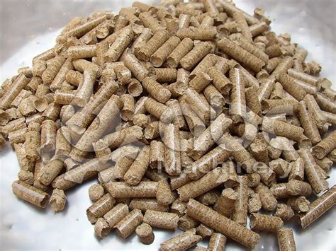 Build A Pellet Litter Manufacturing Plant by Factory Price for Animal