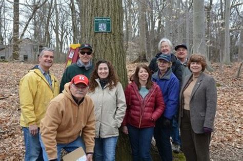 Union County Parks offering new signage system that involves smart phones in identifying trees ...