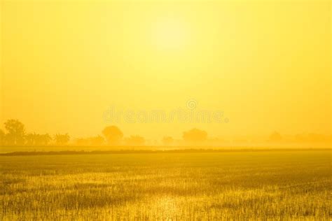 Mist Morning with Sunrise stock photo. Image of countryside - 36425436