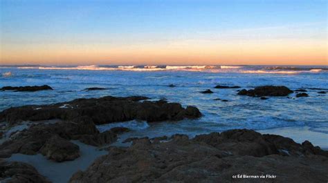 Asilomar Beach - Sandy, rocky and accessible