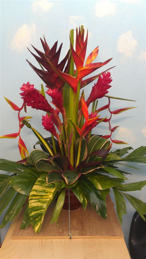 New Tropical Flower Arrangements | Exotica Tropicals – Tropical Plants Nursery in Brevard County ...