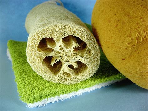 Epimers: What is a loofah?