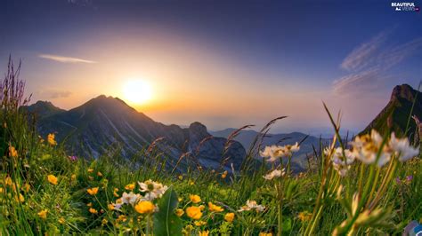 Sunrise Spring Wallpapers - Wallpaper Cave