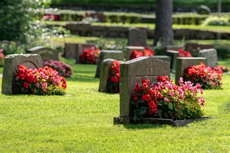 A Guide to Choosing a Cemetery Site for Your Loved Ones in San Diego - La Vista Memorial Park ...