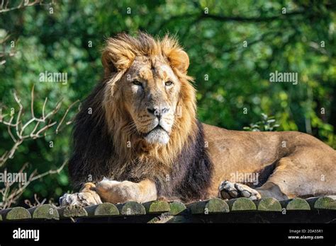 Talson hi-res stock photography and images - Alamy