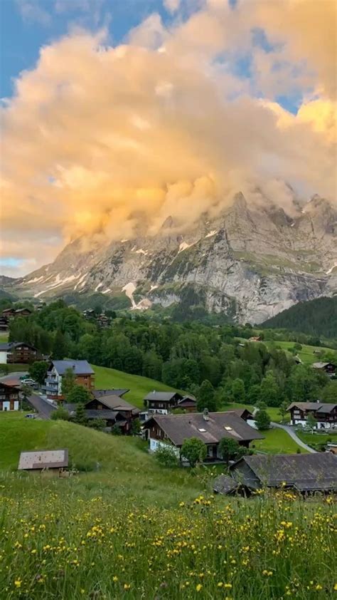 Switzerland in summer 😍 | 자연 사진, 도시 사진, 해외 여행