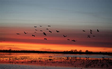 Bay Nature: What Causes Fall Sunsets to Look Different?