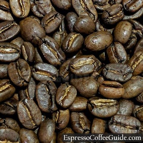 Sumatra Coffee Beans - Espresso & Coffee Guide