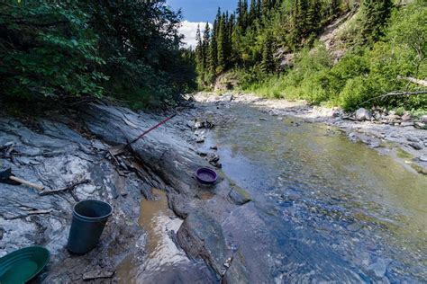 Tips, Tours, and 8 Places to Go Panning for Gold in Alaska