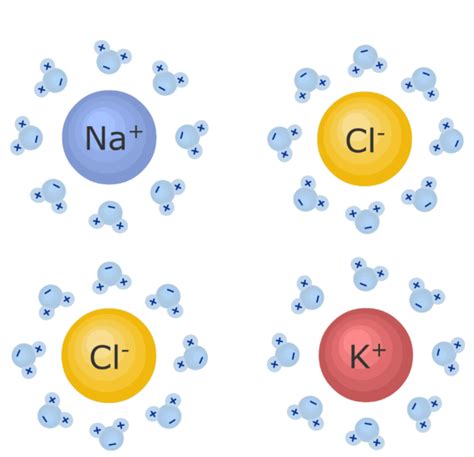 Cations and Anions: examples and diagrams | GetBodySmart