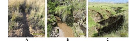 Visual indicators of rangeland degradation observed in Okhombe (A)... | Download Scientific Diagram