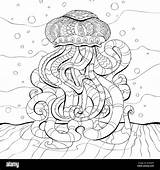 Coloring Page With jellyfish Stock Vector Image & Art  Alamy sketch template