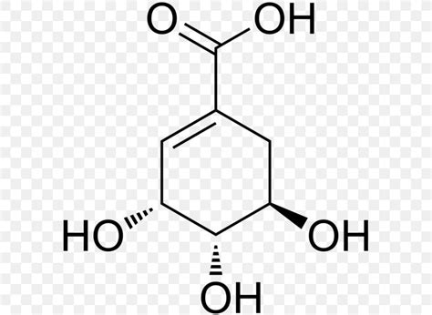 Shikimic Acid Shikimate Pathway Chemical Compound Chemistry, PNG ...