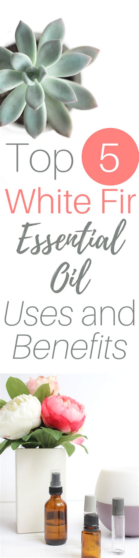 Top 5 White Fir Essential Oil Uses and Benefits | White fir essential oil, Oil uses, Essential oils