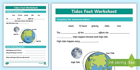 Tides Fact Worksheet - Science Resource (teacher made)