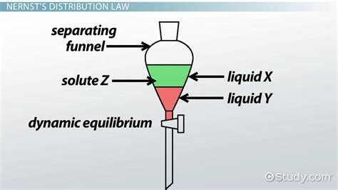 Partition Coefficient | Definition, Equation & Applications - Lesson ...