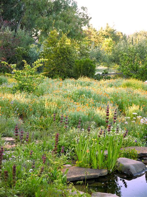 Meadow Garden Design Ideas - Sunset Magazine