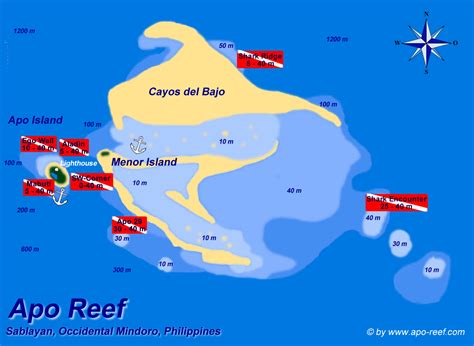 Diving – Apo Reef