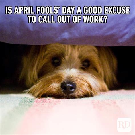 20 Best April Fools' Memes of 2021 | Reader's Digest