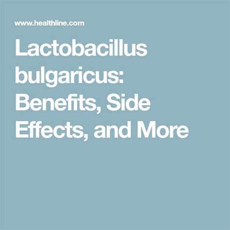 Lactobacillus bulgaricus: Benefits, Side Effects, and More | Lactobacillus bulgaricus ...