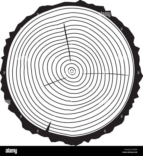 Vector illustration of tree ring background and saw cut tree trunk black silhouette. Conceptual ...