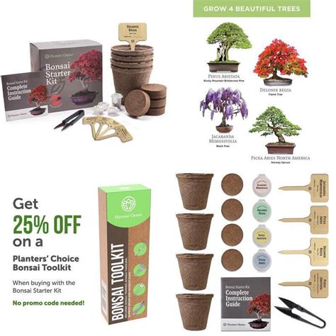 Grow It Bonsai Tree Kit Instructions