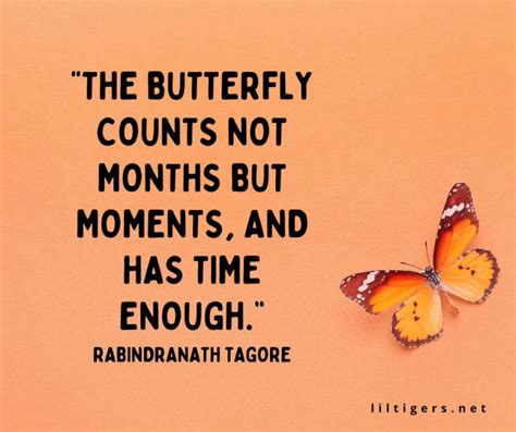 110 Inspiring Butterfly Quotes for Kids - Lil Tigers