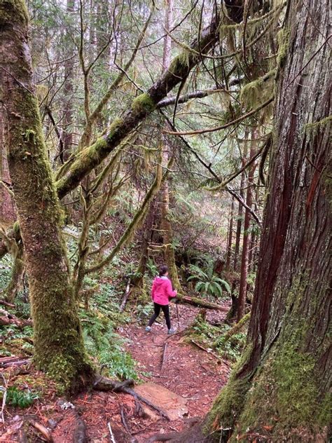 Cumberland BC: Hiking, Biking and Baked Goods | Routinely Nomadic