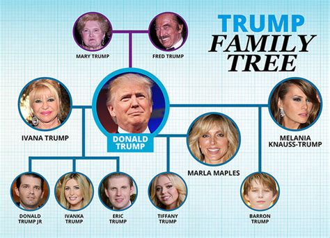 Donald Trump family tree: Who are Ivanka, Tiffany, Eric, Donald Jr ...