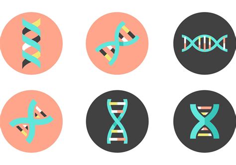 Dna Helix Free Vector Art - (243 Free Downloads)