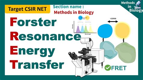 FRET | Fluorescence Resonance Energy Transfer (FRET) Microscopy|CSIR ...