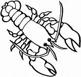 Lobster 2 coloring Page  SuperColoringcom sketch template
