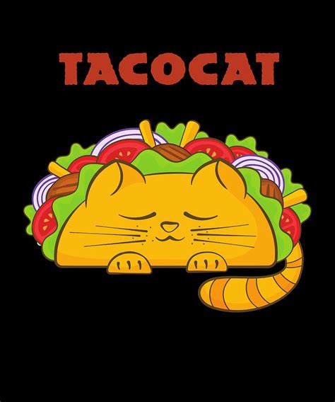 Tacocat Funny Mexican Food Cat Palindrome Digital Art by Jonathan Golding