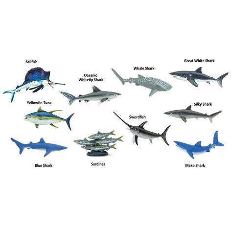 Pelagic Zone Animals