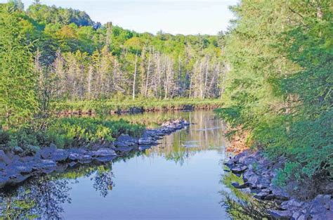 Michigamme & Three Lakes area: Gateways to abundant waters | News ...