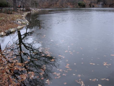 Frozen lake in Central Park | Dave Hunt | Flickr