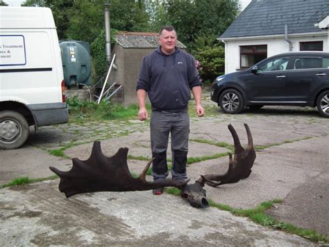 10,000-Year-Old Irish Elk Skull Discovered By Fishermen In Local Lake