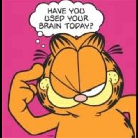 Funny Garfield Cat Memes and Comics