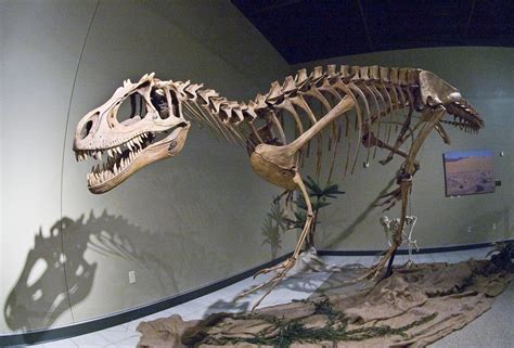 Burpee Museum of Natural History, Rockford, IL. © Mark Ryan | Extinct animals, Prehistoric ...