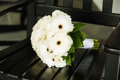 White Gerbera Daisy Bouquet