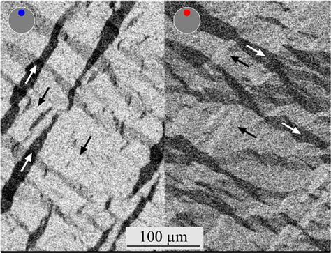 Magnetic domain images obtained simultaneously with different depth ...