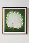 White Peacock Wall Art | AnthroLiving