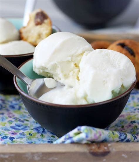 20 Best Ideas Vegan Coconut Milk Ice Cream Recipes – Best Diet and ...