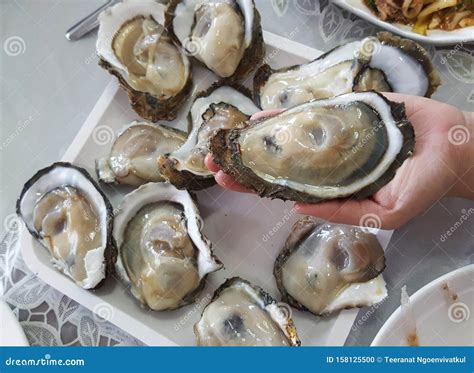 Full Yummy Opened Giant Oyster in a Shell Serving on Lady Cheft Hand`s, Freshness Seafood from ...